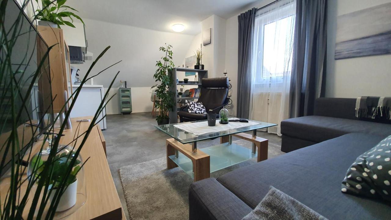 Ferienwohnung Elsa Hungen 外观 照片